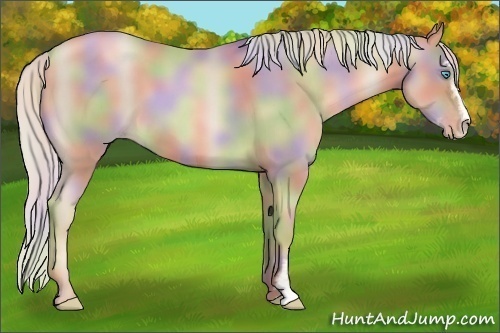 Horse Color:Nacre Chocolate Silver Smoky Black Pearl Sabino
