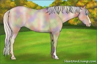 Horse Color:Nacre Chocolate Silver Smoky Black Pearl Sabino