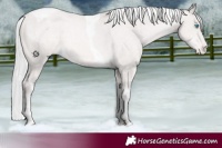 Horse Color:Platinum Silver Smoky Black Pearl Tobiano Appaloosa 