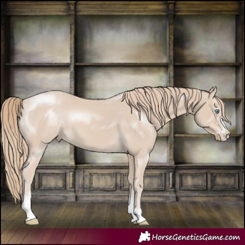 Horse Color:Smoky Creme Sabino 
