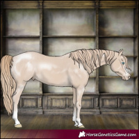Horse Color:Smoky Creme Sabino 