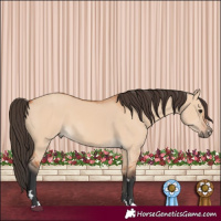 Horse Color:Bay Dun 
