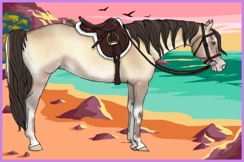 Horse Color:Amber Champagne Onyx 