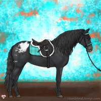 Horse Color:Black Appaloosa 
