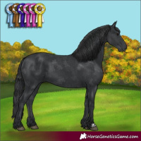 Horse Color:Black 