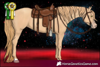 Horse Color:Gold Champagne 