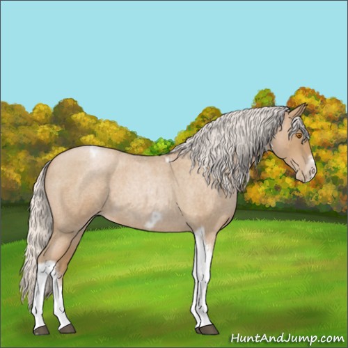 Horse Color:Silver Blue Roan Pearl Tobiano Frame 