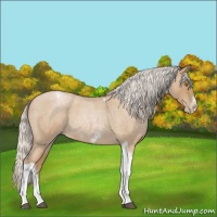 Horse Color:Silver Blue Roan Pearl Tobiano Frame 