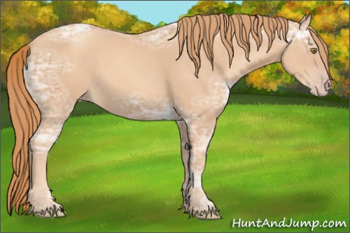 Horse Color:Gold Champagne Ice 