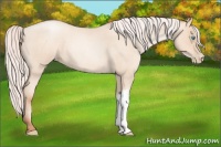 Horse Color:Silver Sable Cream Champagne Roan Pearl 