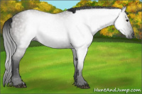 Horse Color:Gray Grullo 