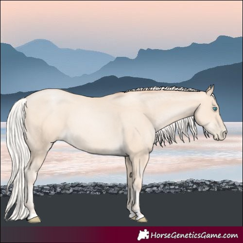 Horse Color:Silver Sable Cream Champagne Pearl 