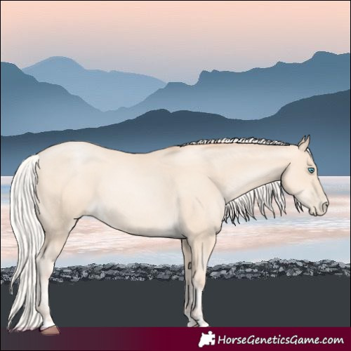 Horse Color:Silver Sable Cream Champagne Pearl 
