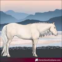 Horse Color:Silver Sable Cream Champagne Pearl 