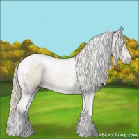 Horse Color:Watercolor Silver Grullo Tobiano 