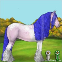 Horse Color:Watercolor Bay Dun Tobiano