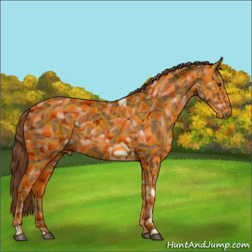 Horse Color:Chestnut Tobiano 