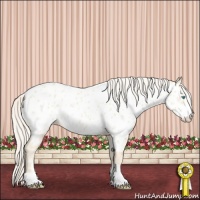 Horse Color:Cremello Sabino Appaloosa