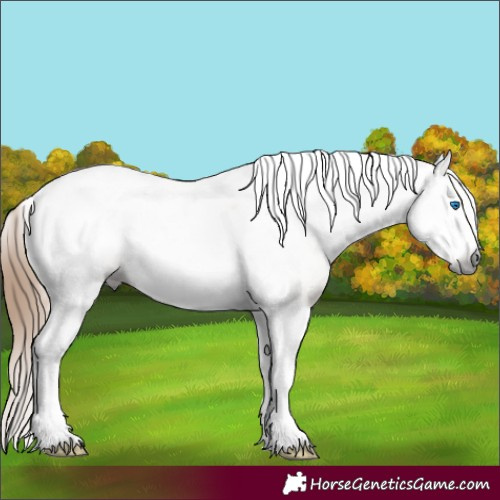 Horse Color:Gray Red Dun Ice Tobiano Frame