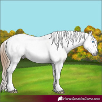 Horse Color:Gray Red Dun Ice Tobiano Frame 