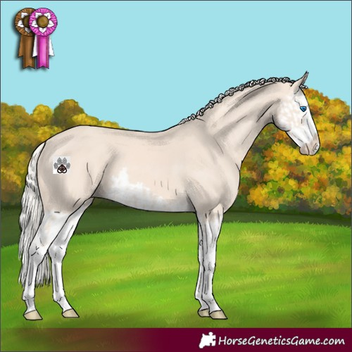 Horse Color:Cremello Splash and Cremello Splash