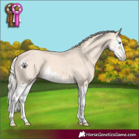 Horse Color:Cremello Splash  and Cremello Splash 