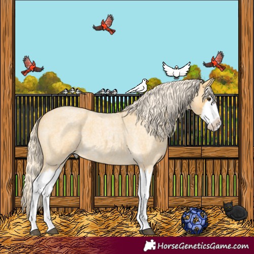Horse Color:Palomino Roan Splash