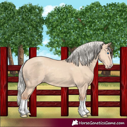Horse Color:Silver Classic Champagne Dun Splash Frame
