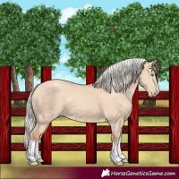 Horse Color:Silver Classic Champagne Dun Splash Frame