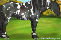 Horse Color:White Spotted Liver Chestnut 