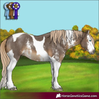 Horse Color:Gray Chocolate Palomino Sabino Splash Tobiano 