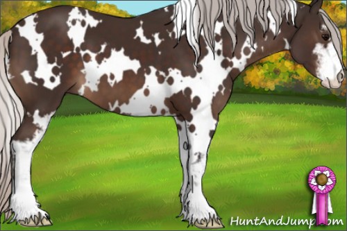 Horse Color:White Spotted Silver Brown Sabino 