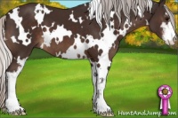 Horse Color:White Spotted Silver Brown Sabino 