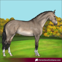 Horse Color:Brown Dun