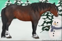Horse Color:Brown Sabino Rabicano  and Brown Sabino Rabicano 