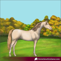 Horse Color:Smoky Black Pearl 