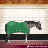 Horse Color:Grullo Tobiano Rabicano