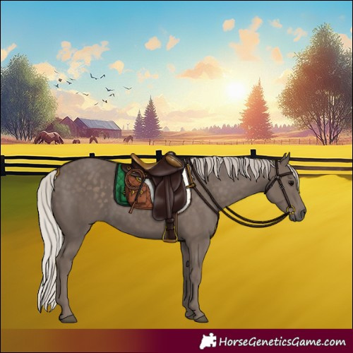 Horse Color:Silver Black 