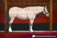 Horse Color:Bay Roan Tobiano