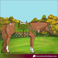 Horse Color:Chestnut Tobiano Rabicano