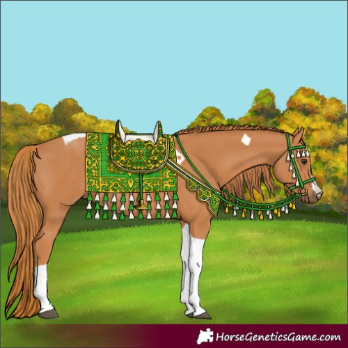 Horse Color:Chestnut Tobiano Rabicano 