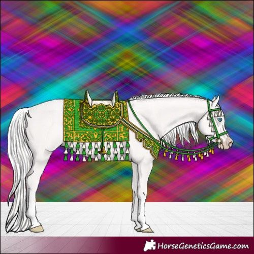 Horse Color:Cremello Tobiano Rabicano 