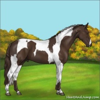 Horse Color:Liver Chestnut and Liver Chestnut Tobiano
