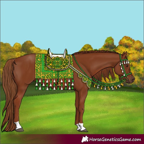 Horse Color:Chestnut Tobiano Rabicano 