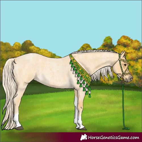 Horse Color:Palomino Roan Tobiano Rabicano