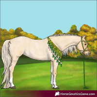 Horse Color:Palomino Roan Tobiano Rabicano