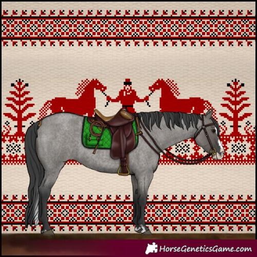 Horse Color:Grullo Roan Splash 