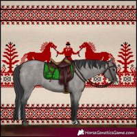 Horse Color:Grullo Roan Splash 