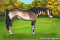 Horse Color:Bay Onyx 