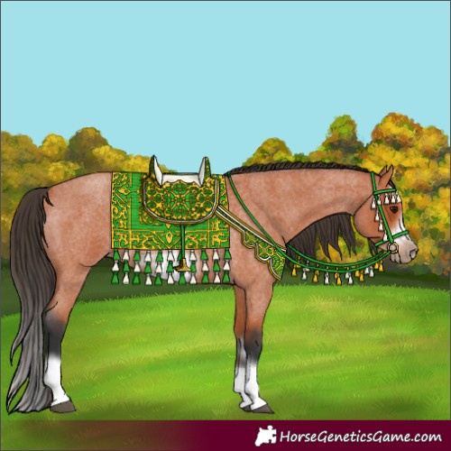 Horse Color:Bay Roan Splash Frame 
